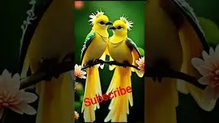 Love story of bird #beautiful #birds #viral #short #video #saport_karo_dosto #subscribe #love