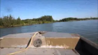 Aniak River Lodge Alaska 2015