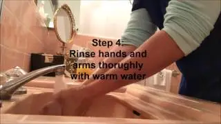 Proper Hand Washing for Food Preparation