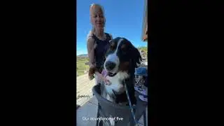 Triangle Wine Country Video Tour