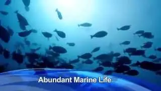 Dive.Voyage в гостях у Maldives Siren Fleet