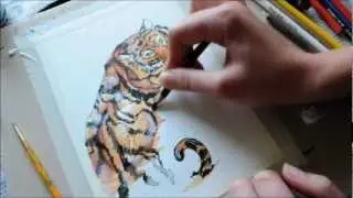 Sumatran Tiger Speed Painting- Time Lapse