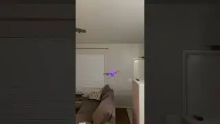E-flite Night Vapor Living Room Flying! #rc #rcplane #rcflying #eflite #flying #rchelicopter #rccar