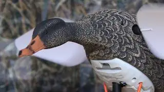 Appelant canard colvert ailes tournantes Lucky HD par LUCKY DUCK