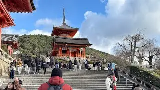 A Day Exploring Kyoto walking Through Timeless Beauty