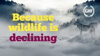 Causes of wildlife decline|||