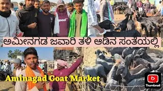 ಅಮೀನಗಡ ಜವಾರಿ ಆಡುಗಳು ಸಂತೆ.#Aminagad goat market 13.12.2025. #trending #trendingshorts #farmersmarket