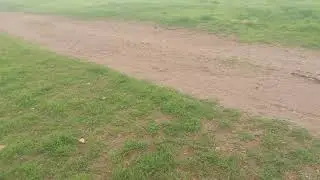 13 مليون  3 هكتار للبيع محافظه تيتر فلاحية 💯 طريق ماء 0679444657