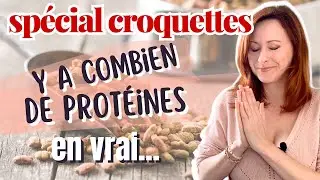 Comprendre la composition des aliments pour chats