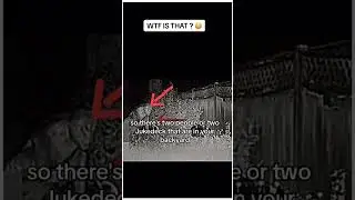 911 call - Alien caught on Backyard camera #unexplained #creepy #caughtoncamera  #911call