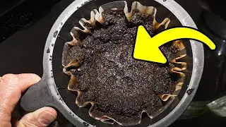 Никогда не выбрасывайте использованную кофейную гущу! Она бесценна.