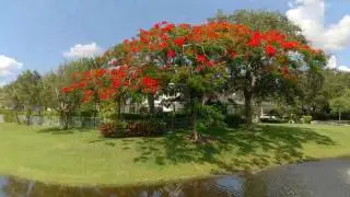 Abacoa Golf Club. Homes for sale