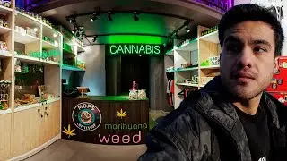 Tiendas de Marihuana en Polonia &iquest;Es Legal?