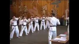 Дан Тест в киокушинкай каратэ (Часть 1) /Dan Test Kyokushin karate