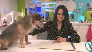 Jill - DIY: Hoe teken je dieren?