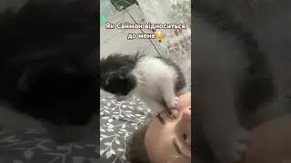 Любофф🥰😇 #cat #kitten #catlover #love