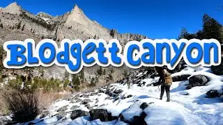 Blodgett Canyon Trail | Bitterroot National Forest - Hamilton, Montana 🌲🌲🌲