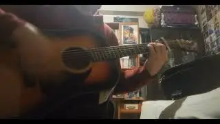 Sia Titanium Accoustic Guitar