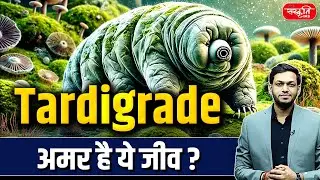 Tardigrade: The Immortal Creature? | Water Bear Facts Explained | Sanskriti IAS | UPSC
