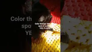 Color Therapy and Sunshine
