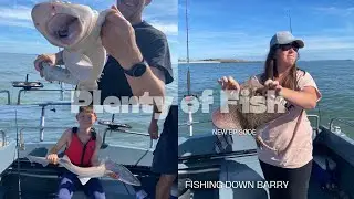 sea fishing uk - kid catches shark - boat fishing Bristol channel MIXED SPECIES