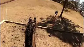 Jumping Branch Training 2022 - You Got It