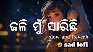 Jali Mu Sarichi | Slow And Reverb | Sad Lofi song | Ms Music