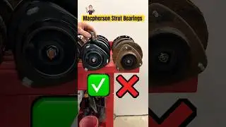 STRUTS HAVE BEARINGS?
