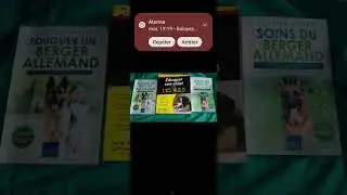 2 septembre 2025 Futur bon copain, chien t&eacute;l&eacute;pathe avec moi son gentil ma&icirc;tre m&eacute;dium animalier. 