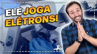 Como funciona um MICROSCÓPIO ELETRÔNICO | Cortes do Manual do Mundo