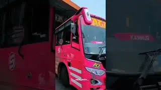 പെൺപുലി #anugraha #sagaraprivatebus #shorts #statusvideo