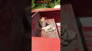 Classic boat Restoration￼￼