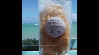 Wild Crafted Irish Sea Moss - MARI MOSS