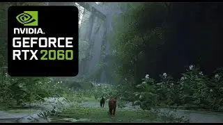 Stray Max Settings Benchmark 1080p || RTX 2060 + Ryzen 3700x