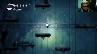 Hollow Knight 4