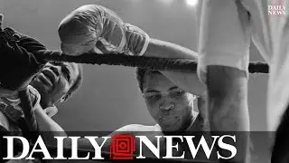 Muhammad Ali, boxing legend and global icon, dead at 74