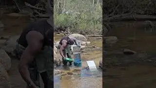 Finding good gold using the 1088 Gold rat sluice.
