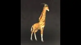 Kalimdor Safari: Giraffe Calf Battle Pet, Southern Barrens, WoW Retail
