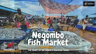 Negombo Fish Market in Sri Lanka @HasawaysEnglish