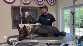 Most Innovative Stainless Steel Grooming TABLE FOR DOGS GROOMING