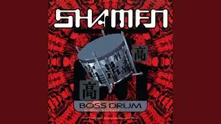 Boss Drum (The Shamen 12 Inch Mix)