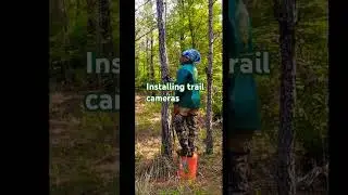 Setting up trail cameras to see what wildlife is on our land#camping #trailcamera #newtothis
