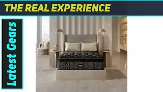 Beautyrest Black Series Four 17.25