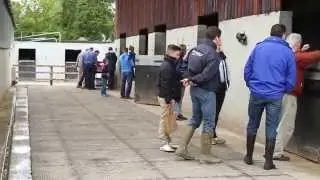 Gordon Elliott Racing Twenty Syndicate Open day 2015