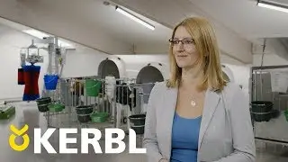 Kälberaufzucht Teil 1 - So werden aus Milchbubis starke Rinder