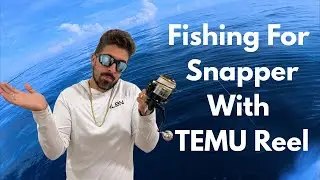 Mangrove Snapper fishing with a TEMU Reel... This is what happened.