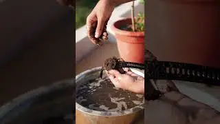 Mitti + Pani Test 😳 | Best Smartwatch Under 5000? Best Smartwatch Under 5000