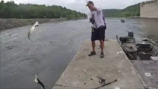 TENNESSEE TARPON FISHING - How & Where to Catch SKIPJACK Herring