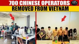 700 Arrested in One City &mdash; How Vietnam Dismantled a Chinese-Run Online Fraud Hub