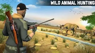 Animal hunting 🎯🏹#animal hunting #subscribe #viralvideo 